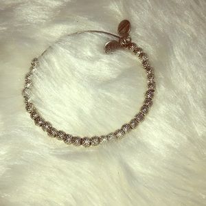 Alex and Ani silver bracelet